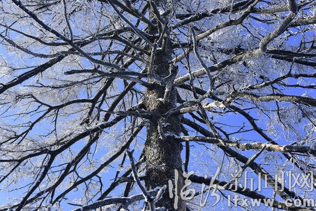 本網(wǎng)記者走進(jìn)東北,用鏡頭發(fā)現(xiàn)別樣的美!