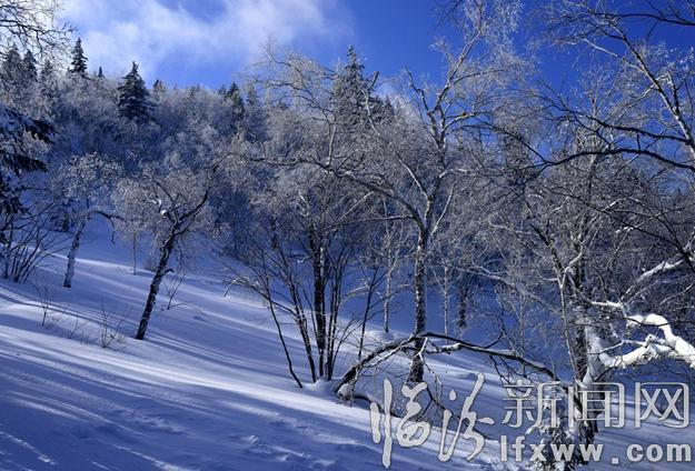 本網(wǎng)記者走進(jìn)東北,用鏡頭發(fā)現(xiàn)別樣的美!