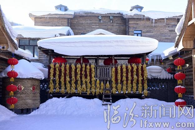 本網(wǎng)記者走進(jìn)東北,用鏡頭發(fā)現(xiàn)別樣的美!