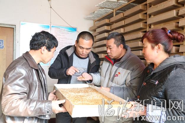 汾西王小龍:實(shí)干就能過(guò)上好日子