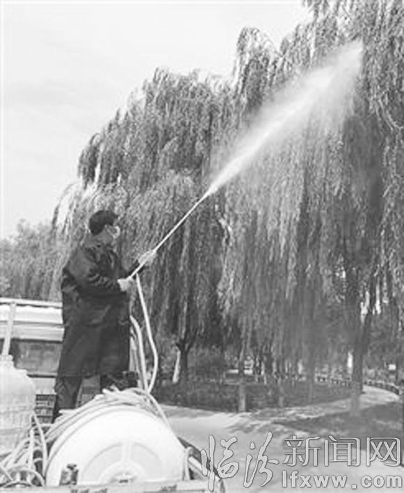 臨汾:專項(xiàng)培訓(xùn)確保苗木茁壯生長(zhǎng)