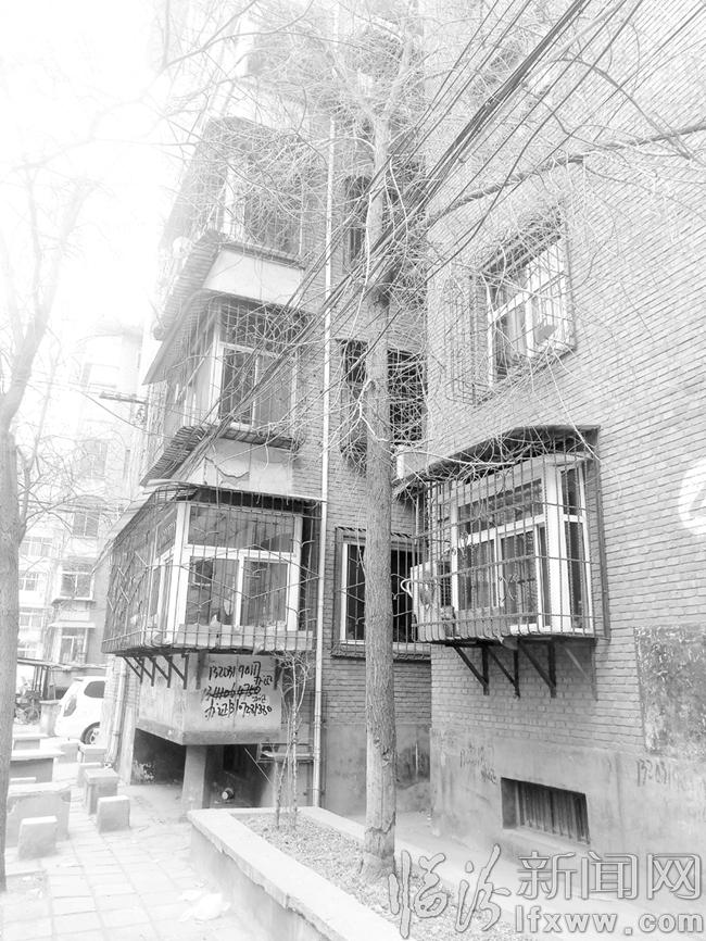 堯都區:危樹枯枝搖搖欲墜 居民安全甚擔憂