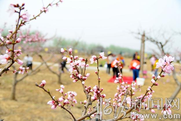 襄汾縣廣奇農業供給側改革的探索實踐之路