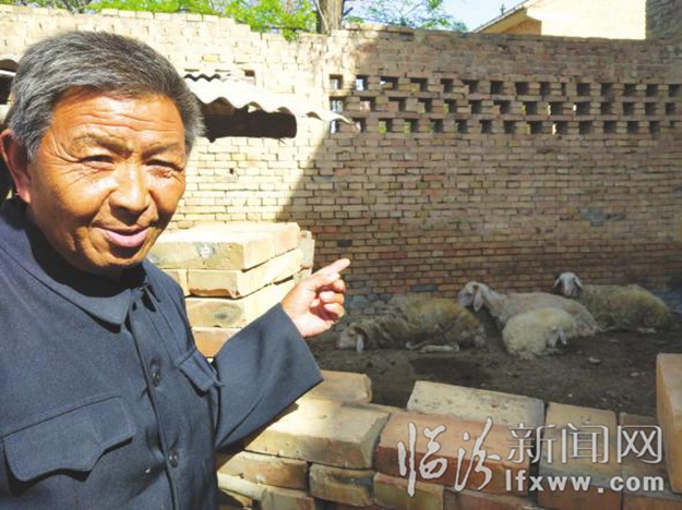 臨汾公益扶助: 讓百姓生活更美好