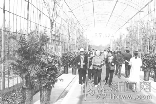 浮山:嗅著玉蘭谷花香,我們亦自豪!