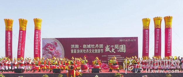 洪洞趙城:牡丹花海 情牽八方游客