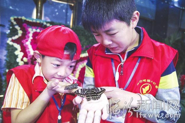 臨汾科普展:我和蝴蝶有個約會