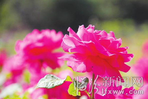 別跑了 美景就在咱汾河邊