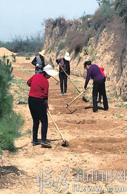 大寧云居村購(gòu)買(mǎi)式造林完成1萬(wàn)畝任務(wù)指日可待