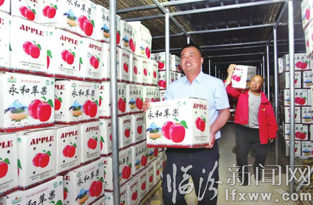 圖為李永紅與工人一起搬運蘋果。