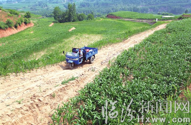 在袁美麗的多方協調下,原來狹窄的山路三輪車進不了地,現如今修繕好的4米寬的田間路,三輪車進出方便,解決了村民的生產難題。