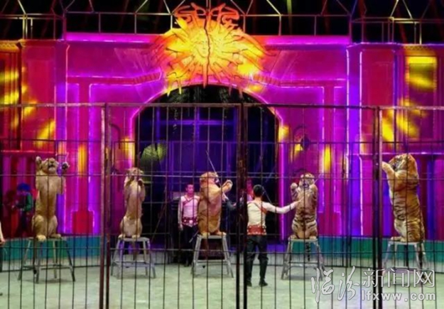 【潼關古城】請您賞燈!十一長假您準備好了嗎?