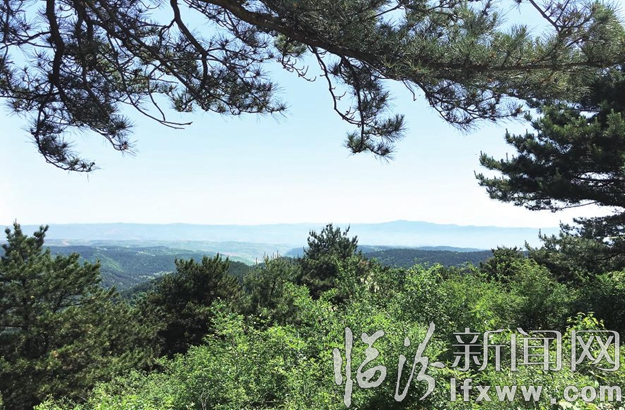 大美青松嶺。宋文杰 攝