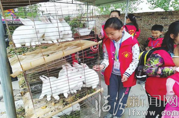 翼城:小記者返璞歸真體驗(yàn)“田園生活”