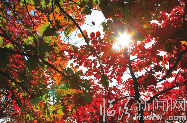 “超級(jí)假日”收官 599.1萬人次游臨汾