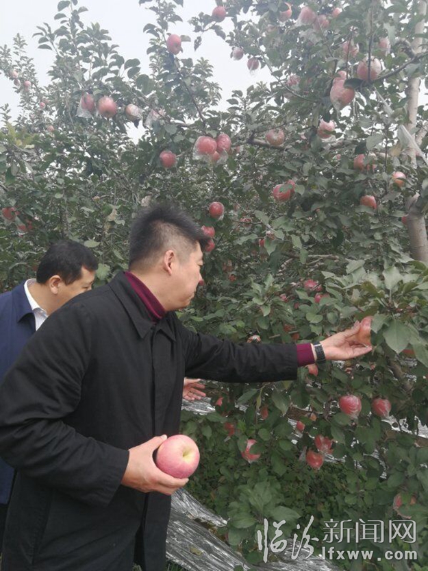 襄汾縣多部門聯動拓寬蘋果電商銷售新路