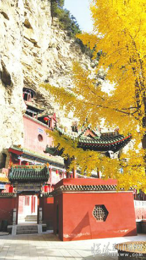 姑射山仙洞溝古寺銀杏醉游人
