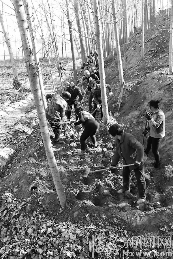 曲沃縣北董鄉(xiāng):冬閑變冬忙