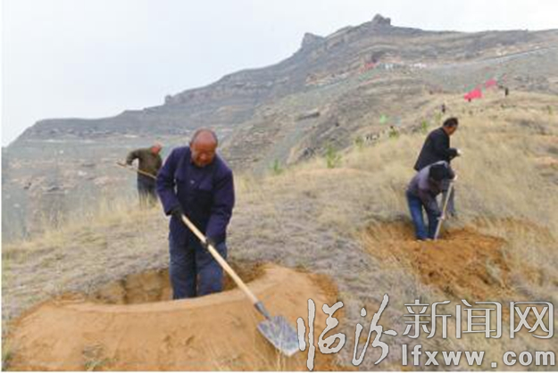 大寧:答好脫貧攻堅這道“必答題”