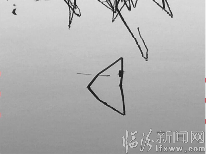 【詩歌】殘荷之美